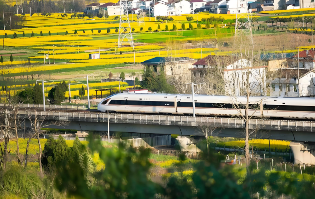 “双假”叠加掀热潮，长三角铁路开启“春游模式”